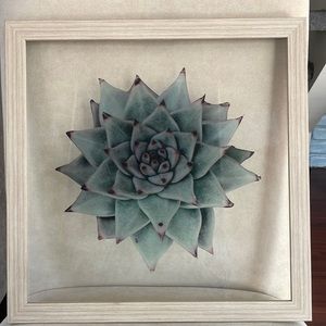 2 piece succulent wall decor